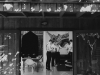 Alice+Rob-015