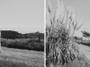 Alice+Rob-019