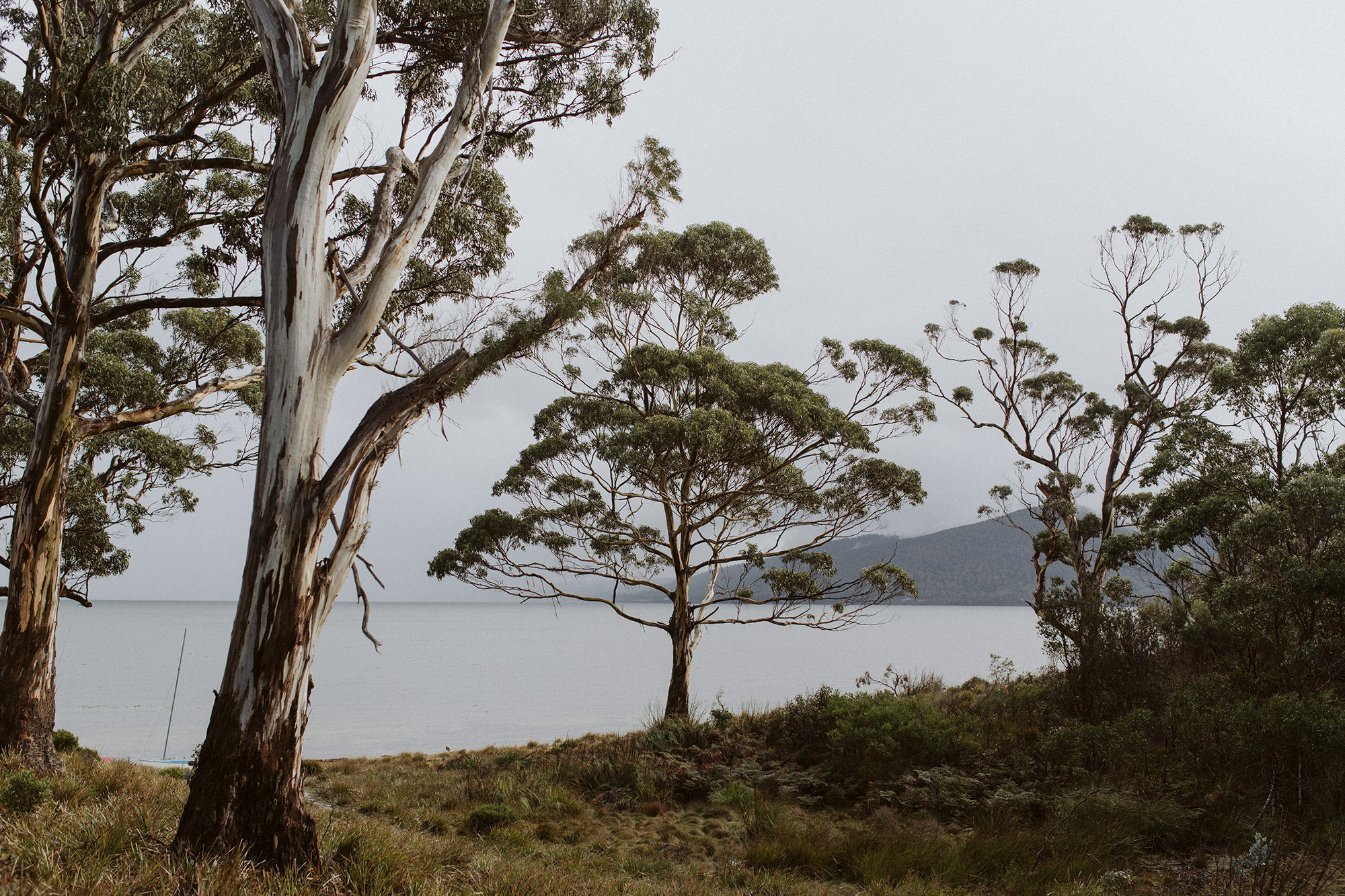 Nastia+Damien_Elopement_Bruny_Island_Tasmania-33